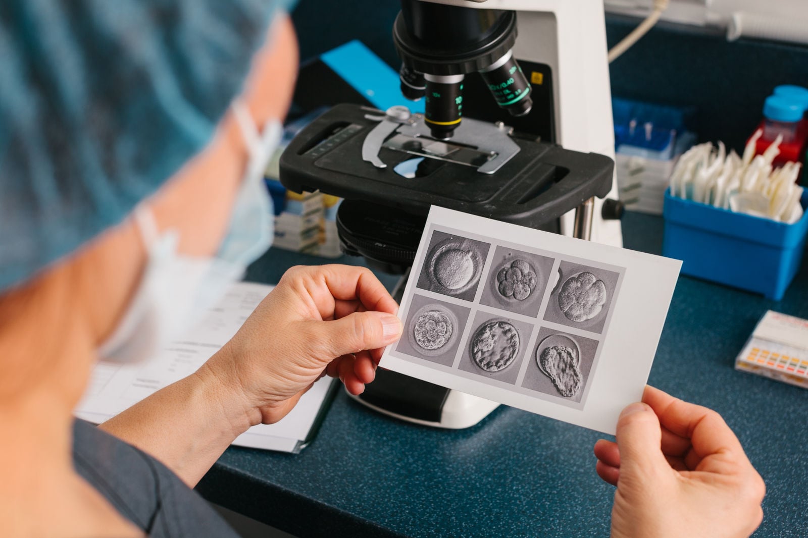 Healthcare specialist looking at embryo images