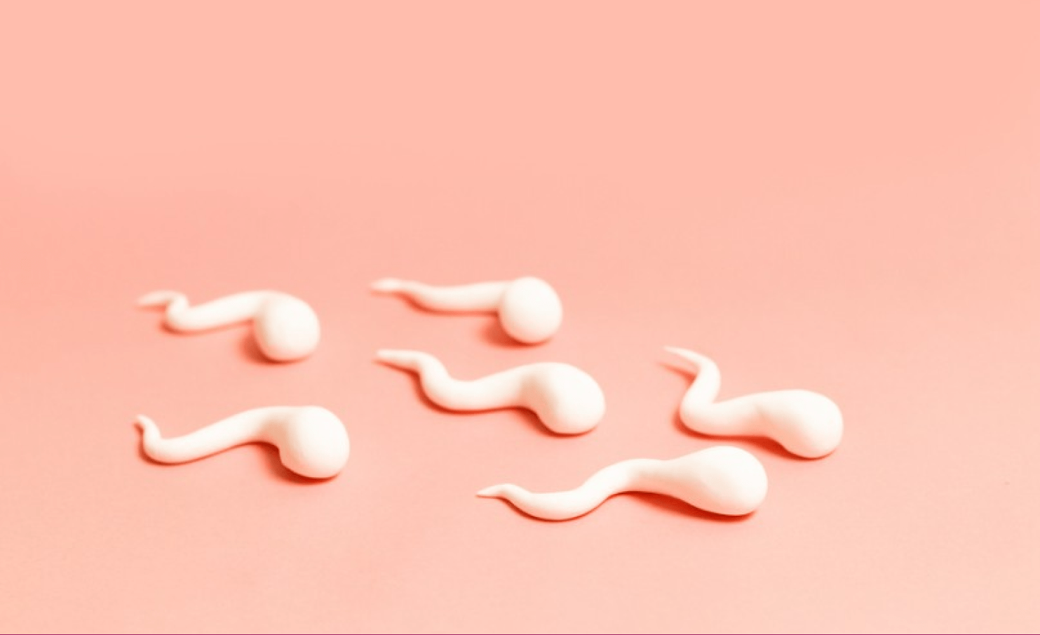 Artistic display of white sculpted figures resembling spermatozoa on a coral pink background.